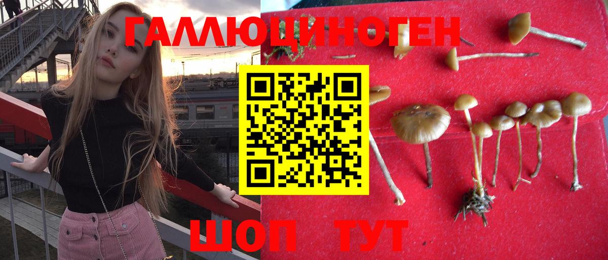 купить   Вход с VPN  Елабуга  Галлюциногенные грибы MAGIC MUSHROOMS 