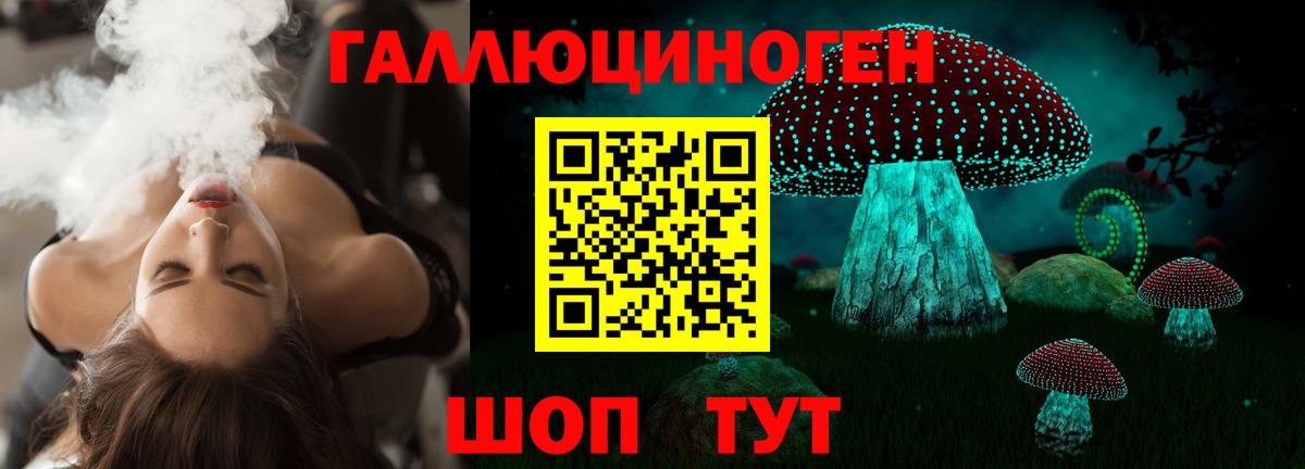 Псилоцибиновые грибы мицелий Елабуга