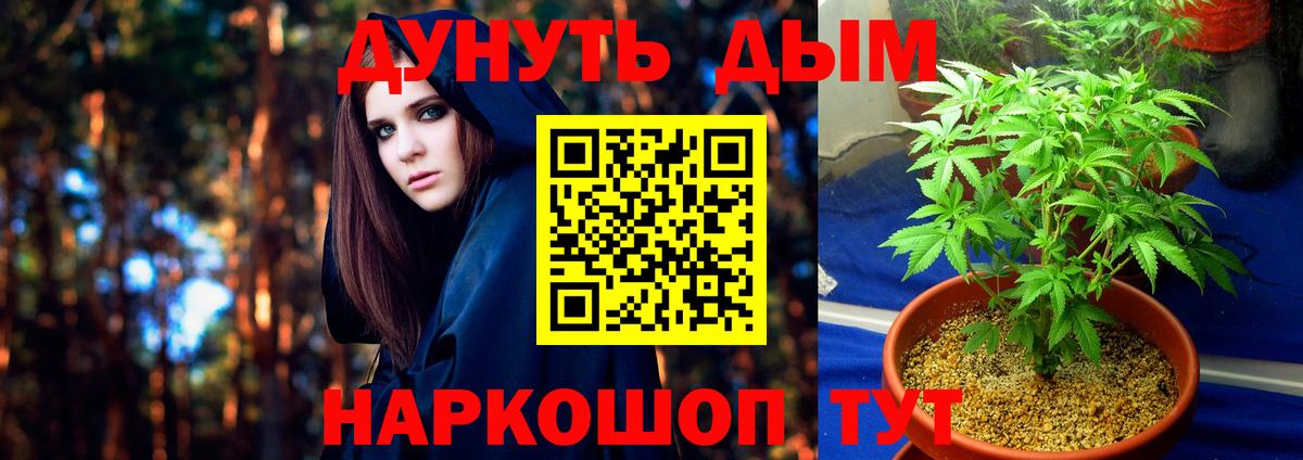 Каннабис OG Kush  Бошки Шишки White Widow  Канабис планчик  Канабис AK-47  Вход с VPN  Елабуга 